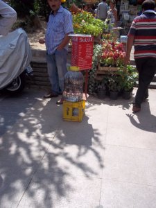 Leeches for sale near the Spice Bazaar.